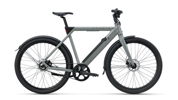 E-Bike Pedelec E-Allroad / Urban RALEIGH "ONE GREY" - Sage Grey